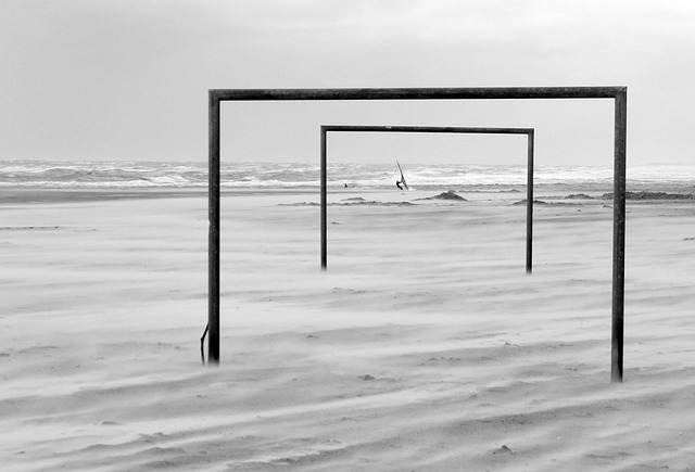 的一颗新星 的一颗新星