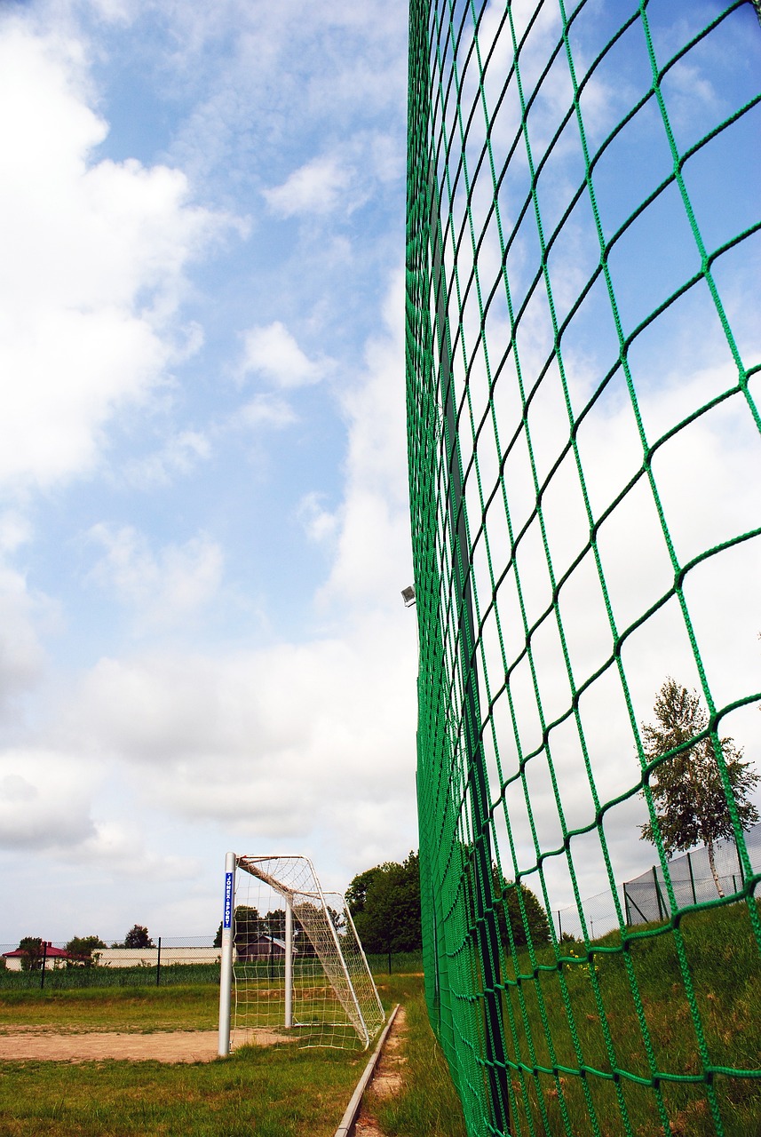 员贡献的认 员贡献的认