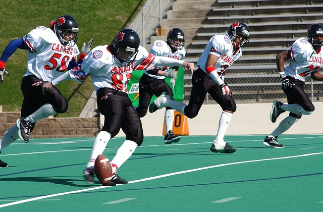 费尔南德斯 费尔南德斯