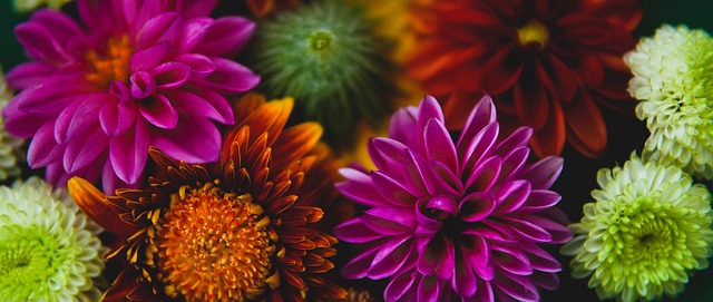 冉莹颖的力 冉莹颖的力