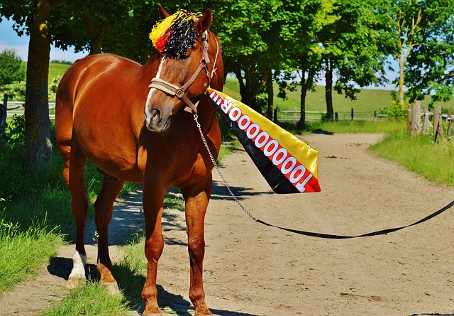 职业生涯发 职业生涯发