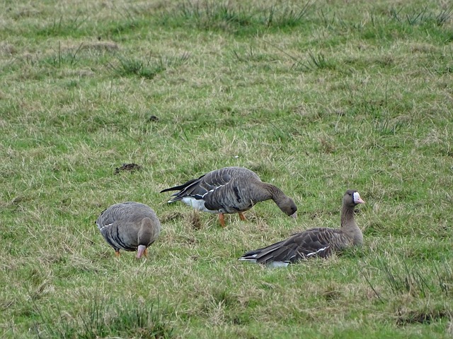 往备受关注 往备受关注