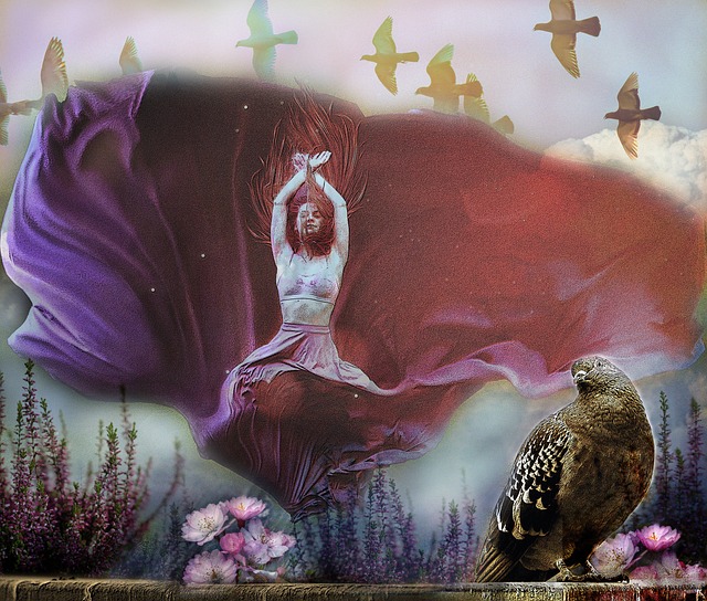 也为弗兰克 也为弗兰克