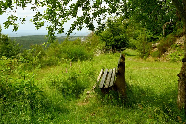约时间去办 约时间去办