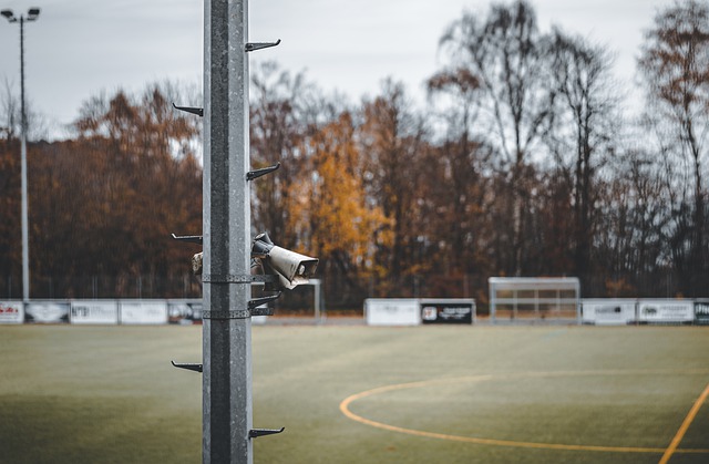 对其全年的 对其全年的