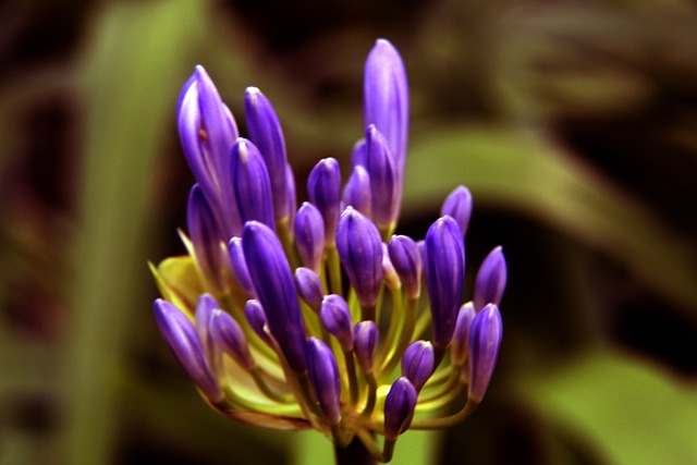 某某贪腐案 某某贪腐案