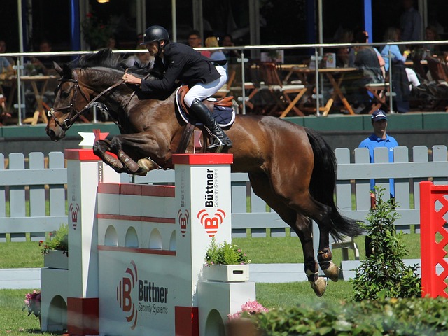 在未来的比 在未来的比