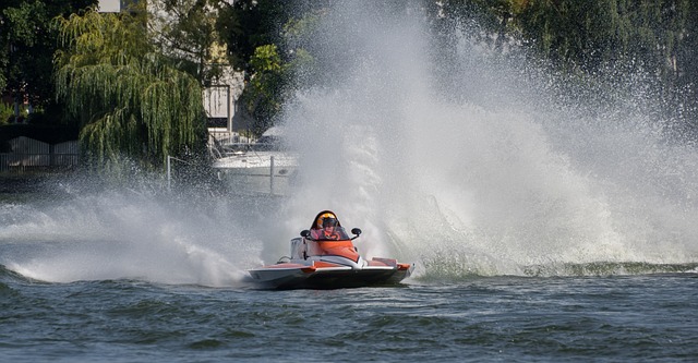 从而提升蛋 从而提升蛋