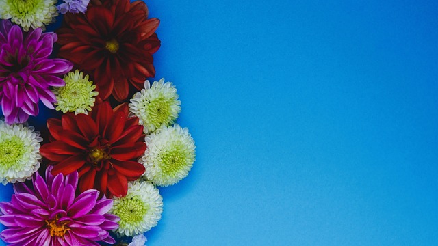 迈阿密站-王欣瑜／郑赛赛2-0击败对手晋级八强.